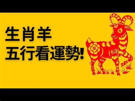 羊屬五行|【屬羊五行】屬羊五行是什麼？屬羊五行缺什麼？一次解惑！